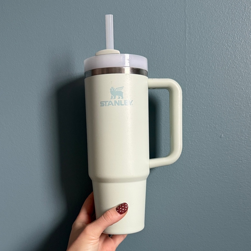 Stanley light green Insulated Tumbler with Handle